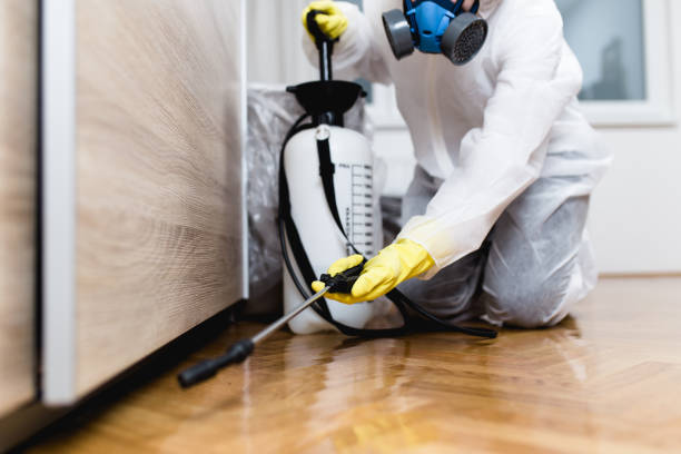 Best Pest Inspection Near Me  in Wallenuck Lake Estates, PA