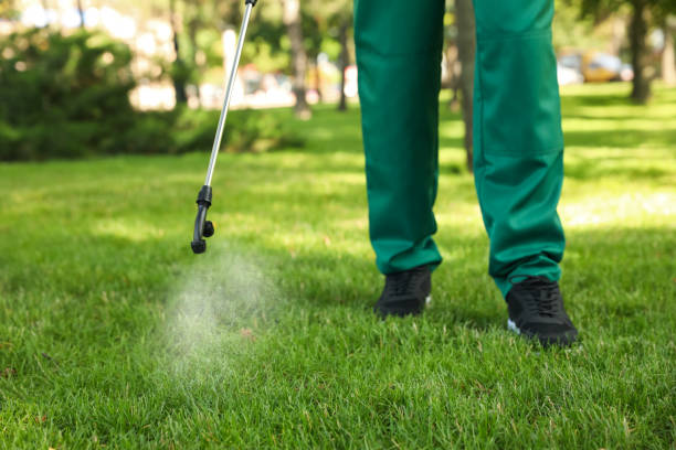 Best Spider Control Near Me  in Wallenuck Lake Estates, PA