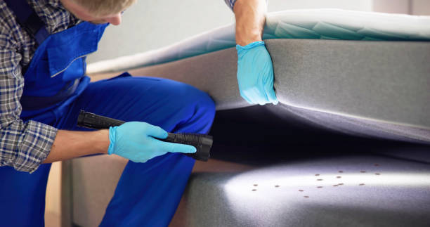 Best Exterminator Services  in Wallenuck Lake Estates, PA