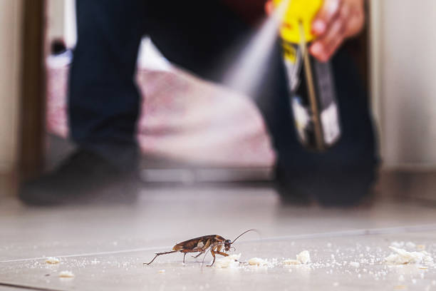  Wallenuck Lake Estates, PA Pest Control Pros