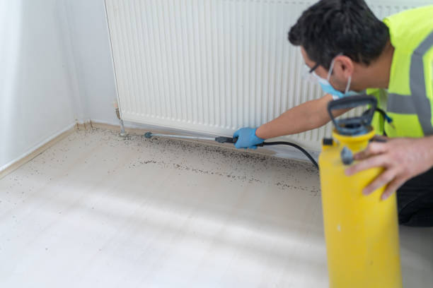 Best Pest Prevention Services  in Wallenuck Lake Estates, PA
