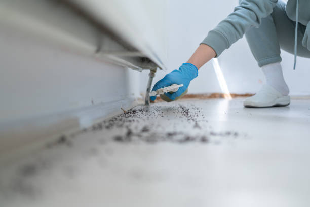 Best Wildlife Control Services  in Wallenuck Lake Estates, PA